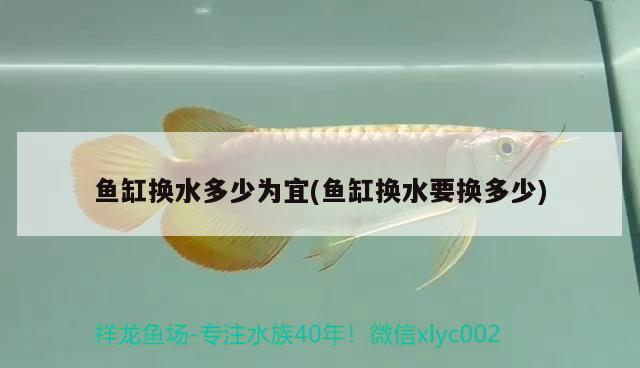 魚缸換水多少為宜(魚缸換水要換多少)