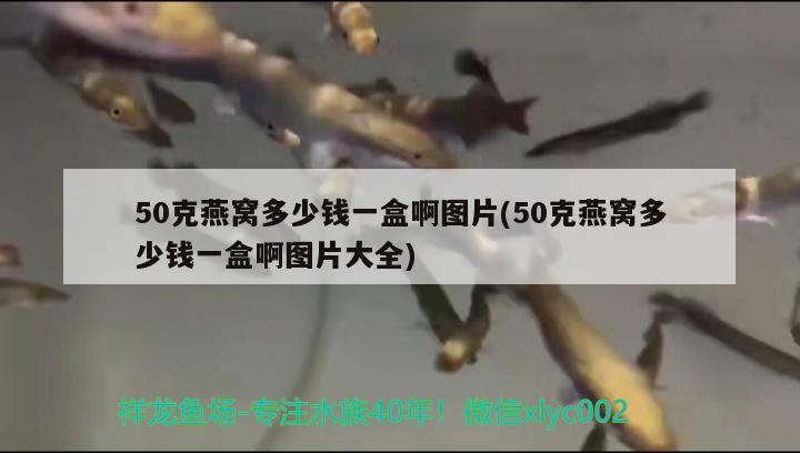 50克燕窩多少錢一盒啊圖片(50克燕窩多少錢一盒啊圖片大全) 馬來西亞燕窩