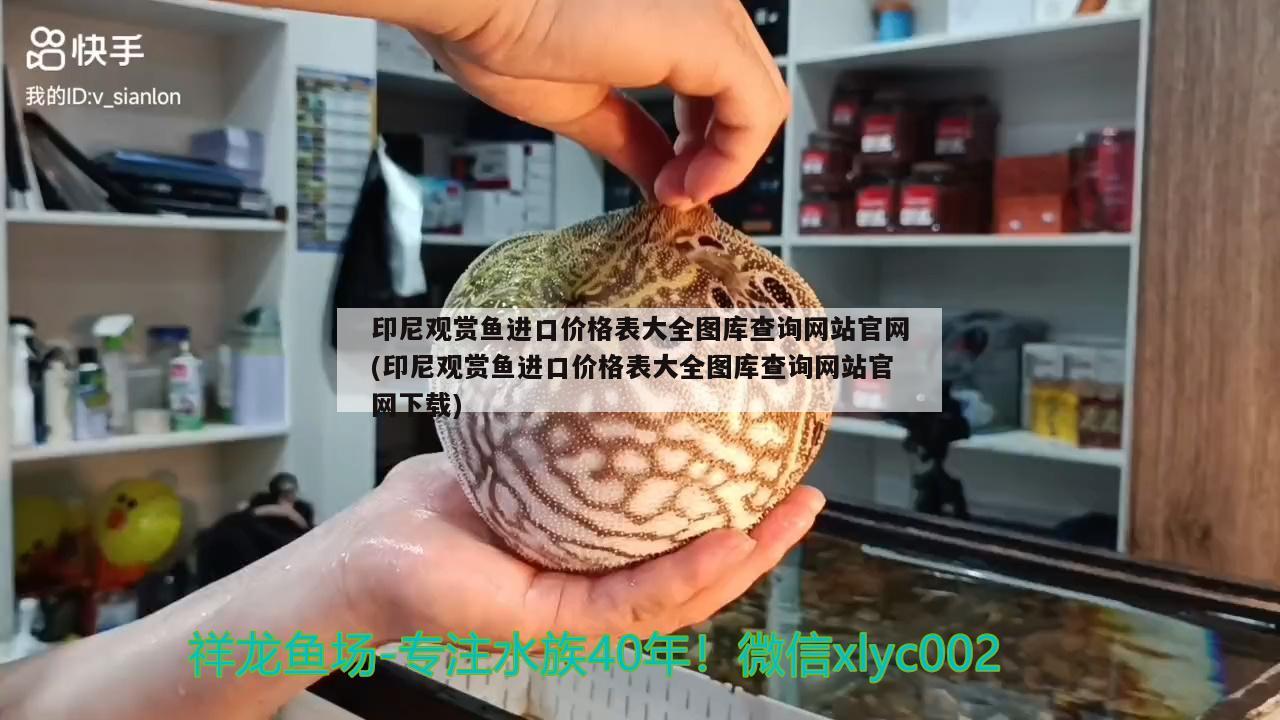 印尼觀賞魚進口價格表大全圖庫查詢網(wǎng)站官網(wǎng)(印尼觀賞魚進口價格表大全圖庫查詢網(wǎng)站官網(wǎng)下載) 觀賞魚進出口