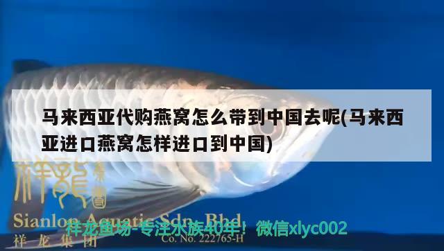 馬來西亞代購燕窩怎么帶到中國去呢(馬來西亞進口燕窩怎樣進口到中國) 馬來西亞燕窩