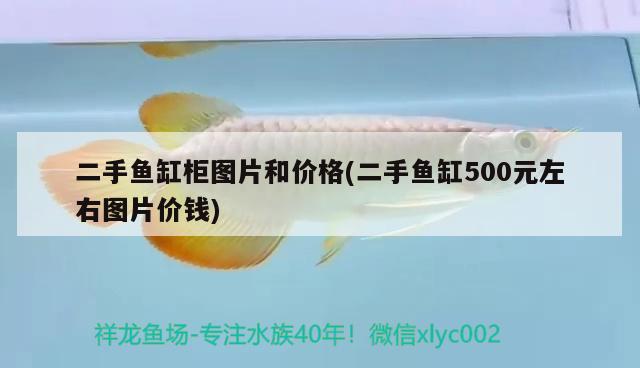 二手魚缸柜圖片和價格(二手魚缸500元左右圖片價錢)