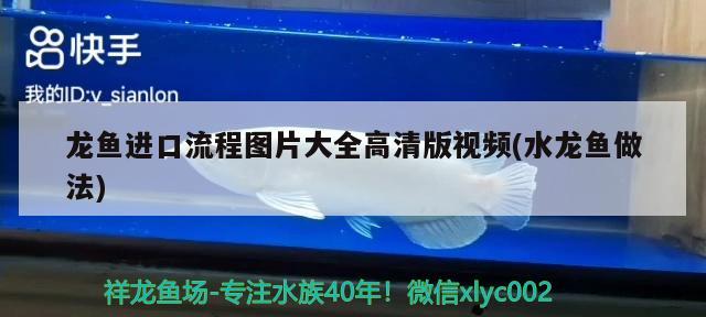 宿州水族批發(fā)市場地址電話號碼(宿州水產(chǎn)批發(fā)市場在哪) 觀賞魚水族批發(fā)市場 第1張