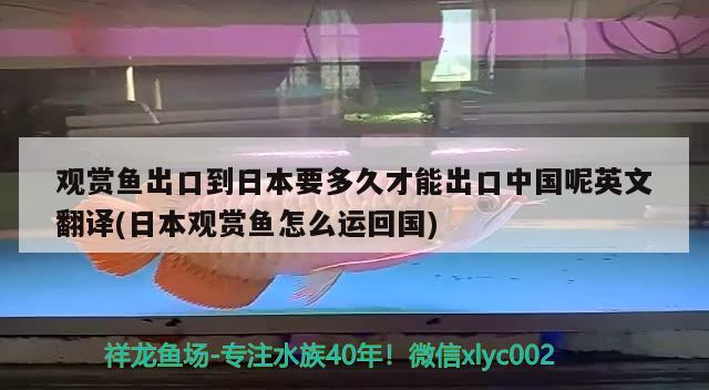 觀賞魚出口到日本要多久才能出口中國呢英文翻譯(日本觀賞魚怎么運(yùn)回國) 觀賞魚進(jìn)出口