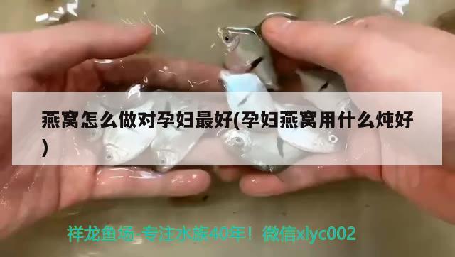 燕窩怎么做對(duì)孕婦最好(孕婦燕窩用什么燉好) 馬來西亞燕窩 第2張