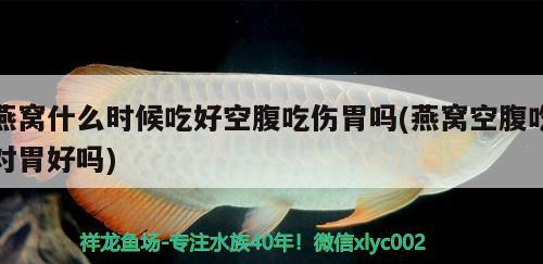 燕窩什么時(shí)候吃好空腹吃傷胃嗎(燕窩空腹吃對(duì)胃好嗎) 馬來西亞燕窩