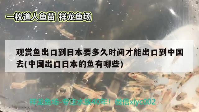 觀賞魚出口到日本要多久時(shí)間才能出口到中國(guó)去(中國(guó)出口日本的魚有哪些) 觀賞魚進(jìn)出口