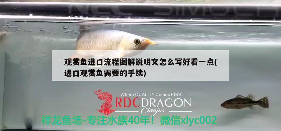 觀賞魚進(jìn)口流程圖解說明文怎么寫好看一點(進(jìn)口觀賞魚需要的手續(xù)) 觀賞魚進(jìn)出口