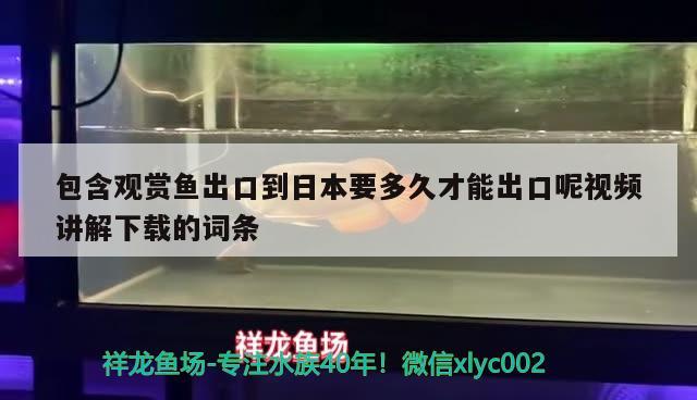 包含觀賞魚出口到日本要多久才能出口呢視頻講解下載的詞條 觀賞魚進出口