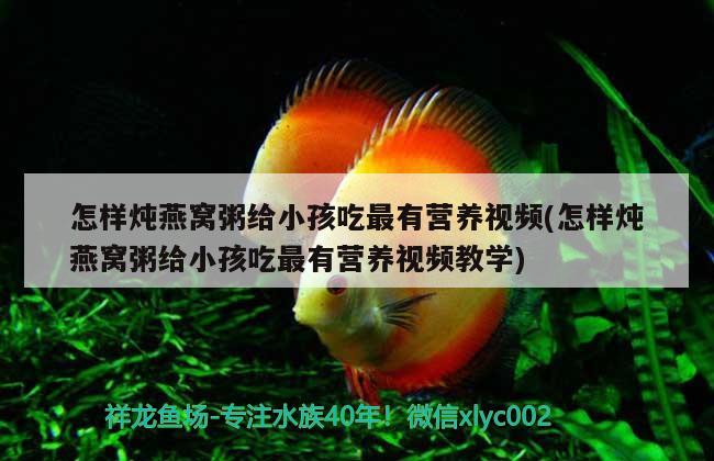 睿美魚缸售后服務電話是多少號(睿美魚缸有幾個系列) 帝王迷宮 第1張