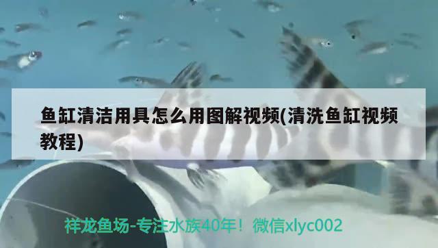 魚缸清潔用具怎么用圖解視頻(清洗魚缸視頻教程)