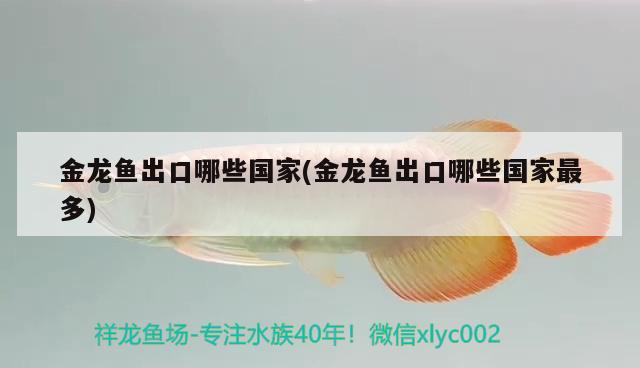 祥龍魚場外掛專用過濾器過濾器的作用，水族箱過濾器的使用