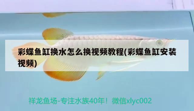 水景膏怎么造瀑布，廣西龜紋石可以放魚缸造景嗎