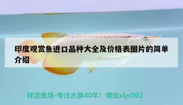 印度觀賞魚進(jìn)口品種大全及價(jià)格表圖片的簡(jiǎn)單介紹 觀賞魚進(jìn)出口 第2張