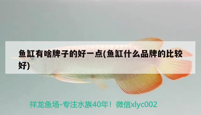 魚缸有啥牌子的好一點(魚缸什么品牌的比較好) 水族用品