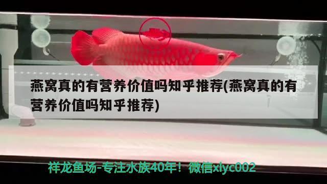 溫州魚缸加工企業(yè)有哪些企業(yè)（綿陽哪里賣魚缸） 龍魚疾病與治療 第1張