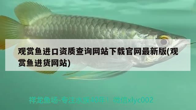 23厘米的魚缸造景多少錢（23厘米的魚缸造景多少錢一個）