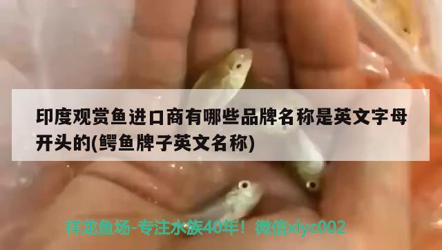 印度觀賞魚(yú)進(jìn)口商有哪些品牌名稱是英文字母開(kāi)頭的(鱷魚(yú)牌子英文名稱) 觀賞魚(yú)進(jìn)出口