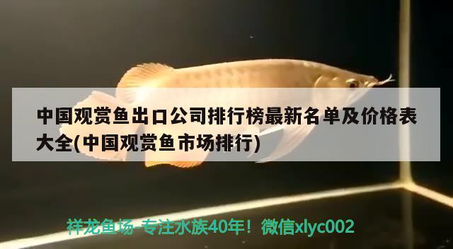 中國觀賞魚出口公司排行榜最新名單及價格表大全(中國觀賞魚市場排行) 觀賞魚進(jìn)出口