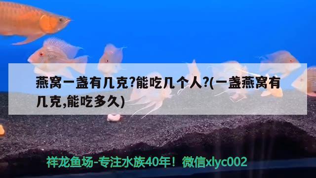 靖江市阿修羅漁具商行（靖江市阿修羅漁具商行地址）