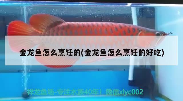 金龍魚怎么烹飪的(金龍魚怎么烹飪的好吃) 觀賞蝦蟹等飼料