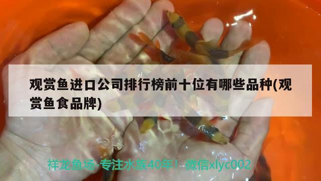 觀賞魚進(jìn)口公司排行榜前十位有哪些品種(觀賞魚食品牌) 觀賞魚進(jìn)出口