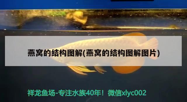 爐灰渣可以放魚缸里嗎視頻教程：爐灰渣可以種地嗎 養(yǎng)魚的好處 第3張