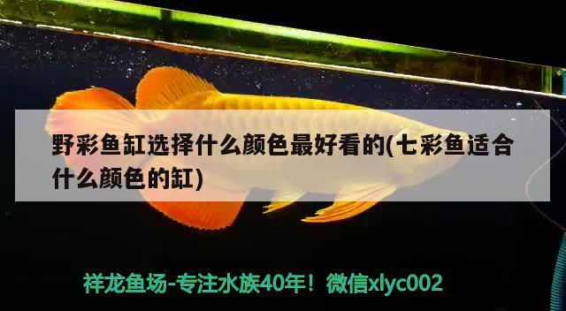 爐灰渣可以放魚缸里嗎視頻教程：爐灰渣可以種地嗎 養(yǎng)魚的好處 第1張