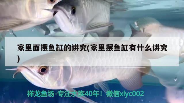 家里面擺魚(yú)缸的講究(家里擺魚(yú)缸有什么講究) 黃金鴨嘴魚(yú)