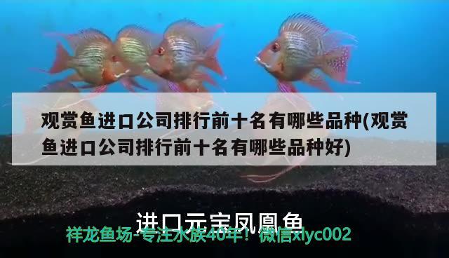 觀賞魚進(jìn)口公司排行前十名有哪些品種(觀賞魚進(jìn)口公司排行前十名有哪些品種好)