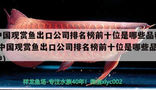 中國觀賞魚出口公司排名榜前十位是哪些品種(中國觀賞魚出口公司排名榜前十位是哪些品種) 觀賞魚進出口