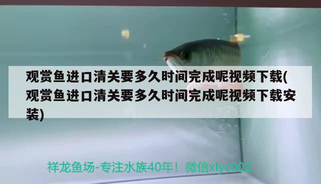 觀賞魚進口清關要多久時間完成呢視頻下載(觀賞魚進口清關要多久時間完成呢視頻下載安裝) 觀賞魚進出口