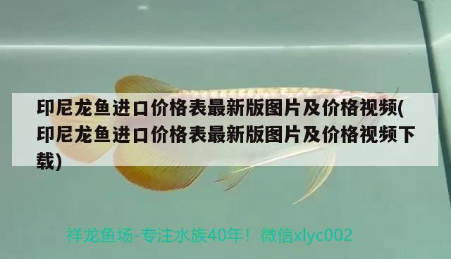 伊罕加熱棒已經(jīng)調(diào)到極限：伊罕加熱棒加熱升不上去 伊罕水族 第1張