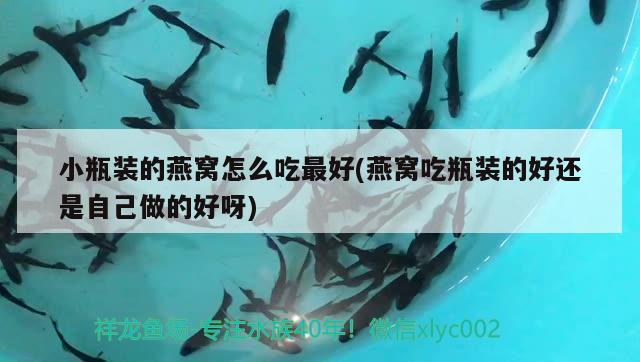 2017養(yǎng)魚(yú)賬單朝三暮四