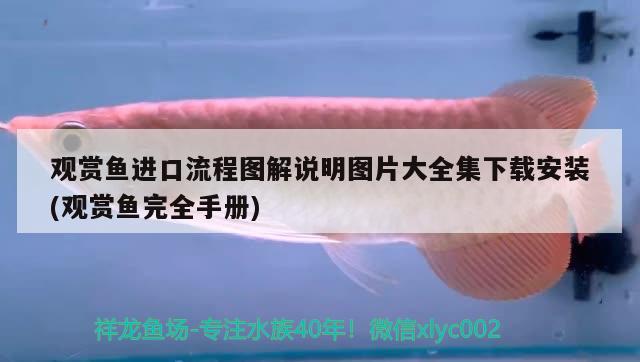 觀賞魚進(jìn)口流程圖解說明圖片大全集下載安裝(觀賞魚完全手冊(cè))