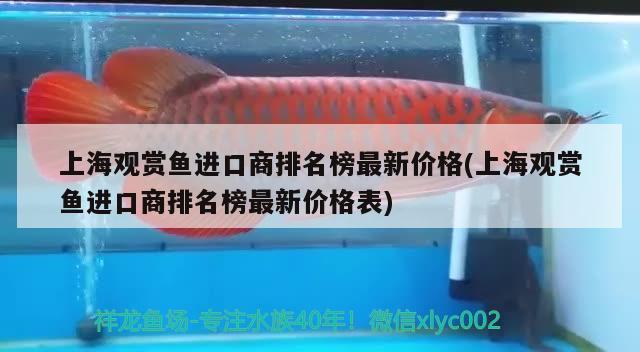 上海觀賞魚進(jìn)口商排名榜最新價(jià)格(上海觀賞魚進(jìn)口商排名榜最新價(jià)格表)