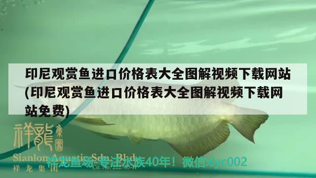 印尼觀賞魚進(jìn)口價格表大全圖解視頻下載網(wǎng)站(印尼觀賞魚進(jìn)口價格表大全圖解視頻下載網(wǎng)站免費)