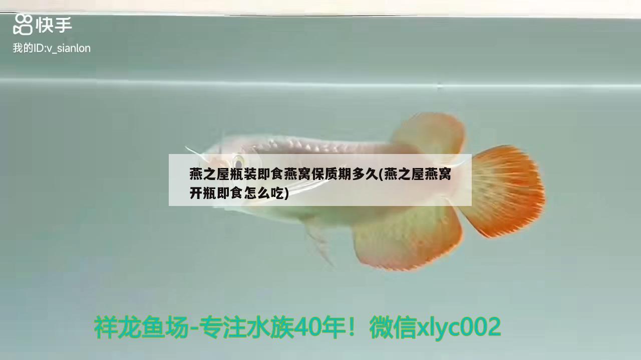 感謝北京漁經(jīng)魚藥 帝王迷宮魚 第3張