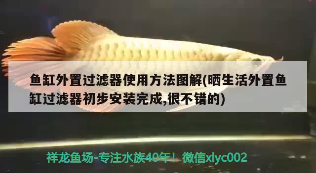 魚(yú)缸外置過(guò)濾器使用方法圖解(曬生活外置魚(yú)缸過(guò)濾器初步安裝完成,很不錯(cuò)的) 養(yǎng)魚(yú)知識(shí)