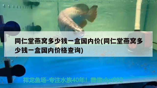 黃金眼鏡蛇雷龍魚 黃金眼鏡蛇雷龍魚 第3張