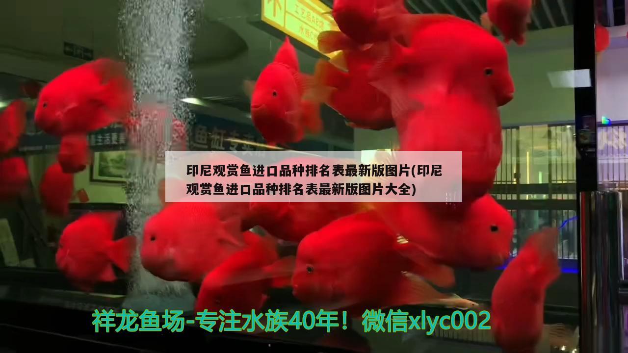 魚缸凈水劑