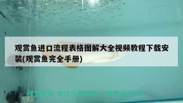 觀賞魚進口流程表格圖解大全視頻教程下載安裝(觀賞魚完全手冊) 觀賞魚進出口