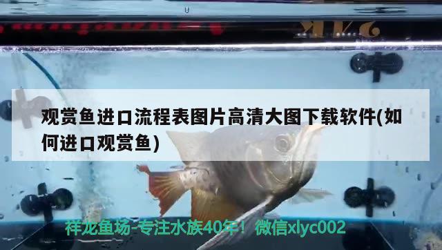 臨汾清洗魚缸電話 其他品牌魚缸 第1張