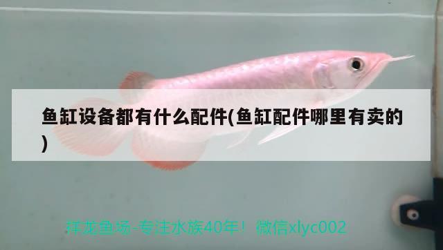 魚缸設備都有什么配件(魚缸配件哪里有賣的) 申古三間魚