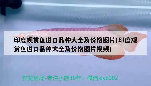 合肥觀賞魚協(xié)會(huì)地址電話：合肥觀賞魚協(xié)會(huì)地址電話是多少