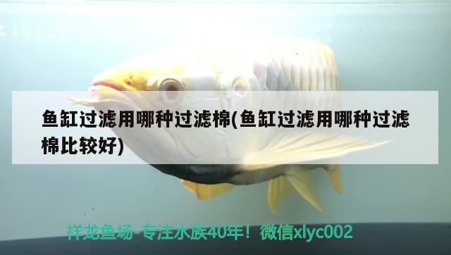 魚缸過(guò)濾用哪種過(guò)濾棉(魚缸過(guò)濾用哪種過(guò)濾棉比較好) 巴卡雷龍魚