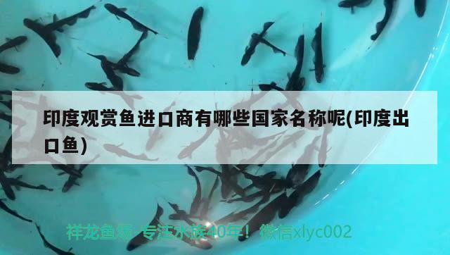 印度觀賞魚進(jìn)口商有哪些國(guó)家名稱呢(印度出口魚) 觀賞魚進(jìn)出口