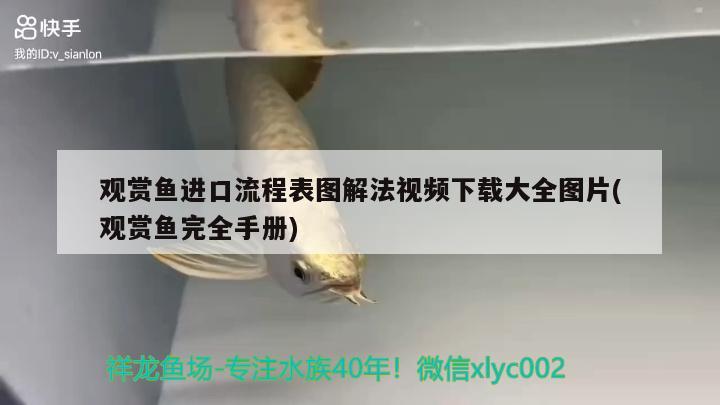 觀賞魚進(jìn)口流程表圖解法視頻下載大全圖片(觀賞魚完全手冊) 觀賞魚進(jìn)出口