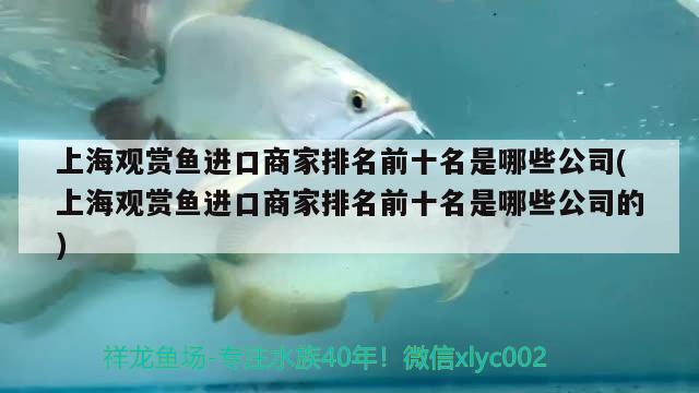 上海觀賞魚進(jìn)口商家排名前十名是哪些公司(上海觀賞魚進(jìn)口商家排名前十名是哪些公司的) 觀賞魚進(jìn)出口