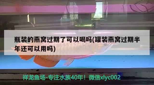 瓶裝的燕窩過期了可以喝嗎(罐裝燕窩過期半年還可以用嗎) 馬來西亞燕窩