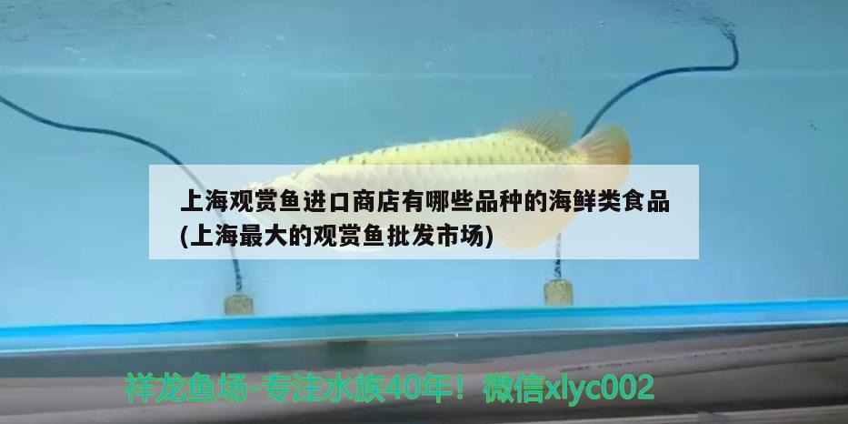 上海觀賞魚進(jìn)口商店有哪些品種的海鮮類食品(上海最大的觀賞魚批發(fā)市場) 觀賞魚進(jìn)出口